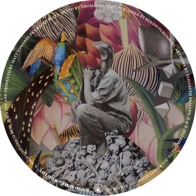 Radio Slave - Wild Life