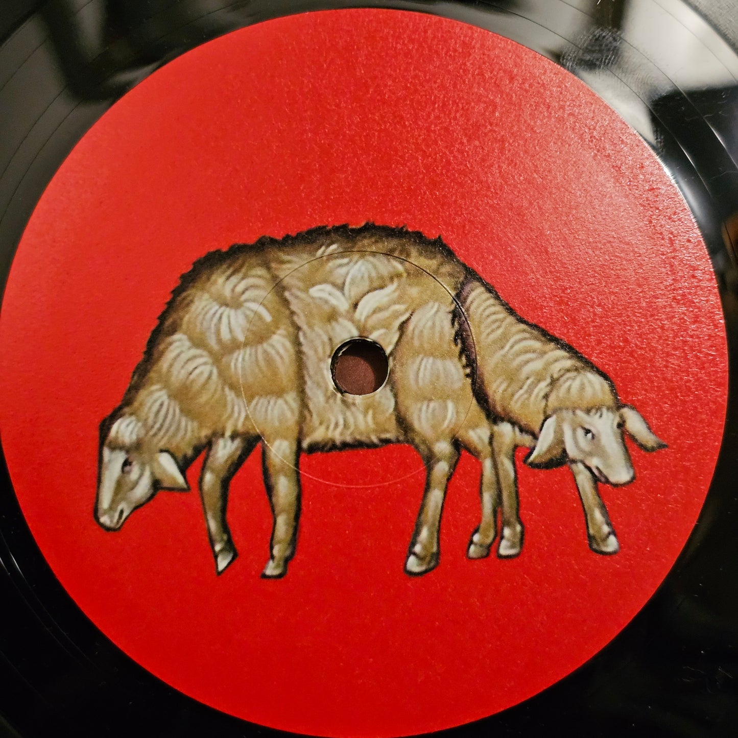 Jay Glass Dubs – Nyx