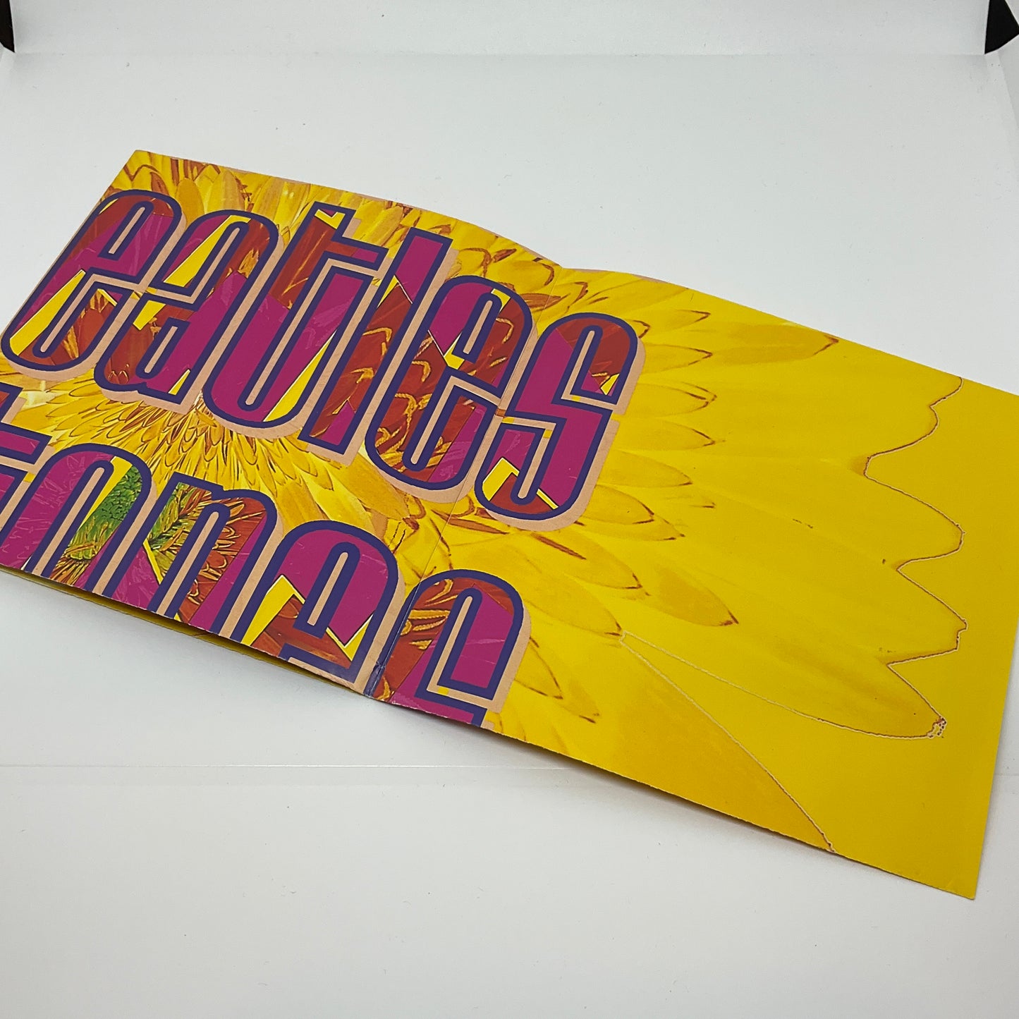 The House Of Love – Beatles And The Stones