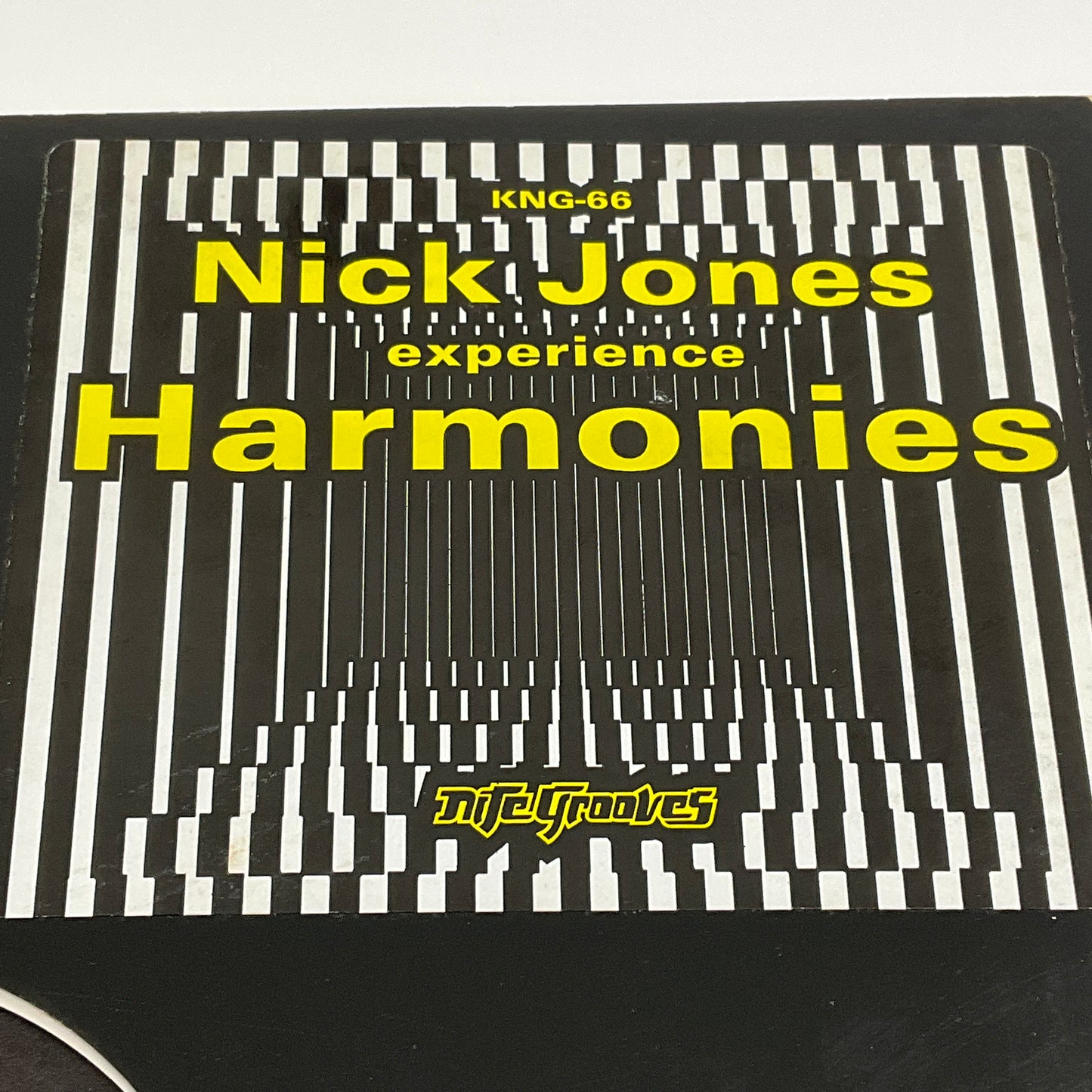 Nick Jones Experience|Harmonies