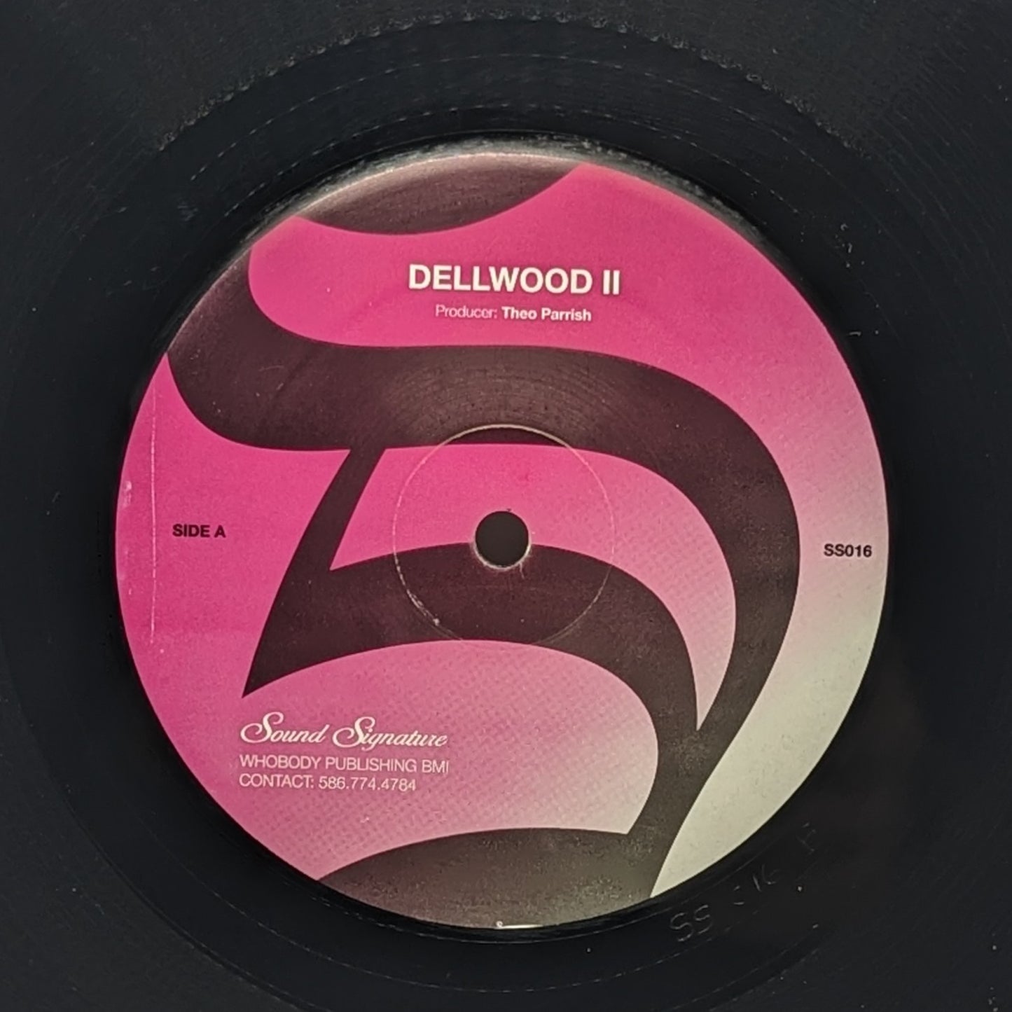 Theo Parrish - Solitary Flight