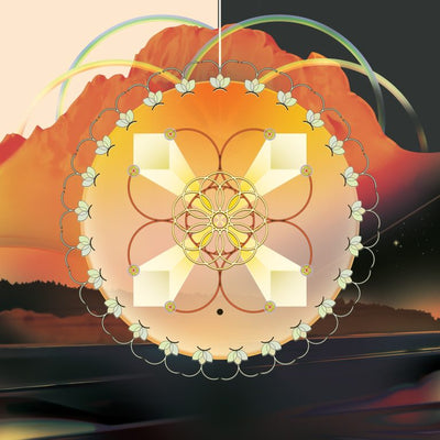 MATTHEWDAVID|ON MUSHROOMS