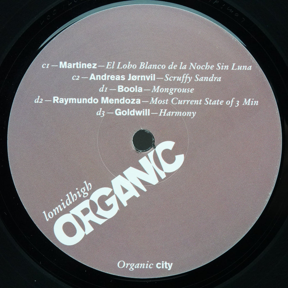 Various – Organic City