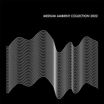 V.A. - Medium Ambient Collection 2022 Black