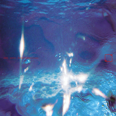 Fabiano Do Nascimento & E Ruscha V – Aquaticos