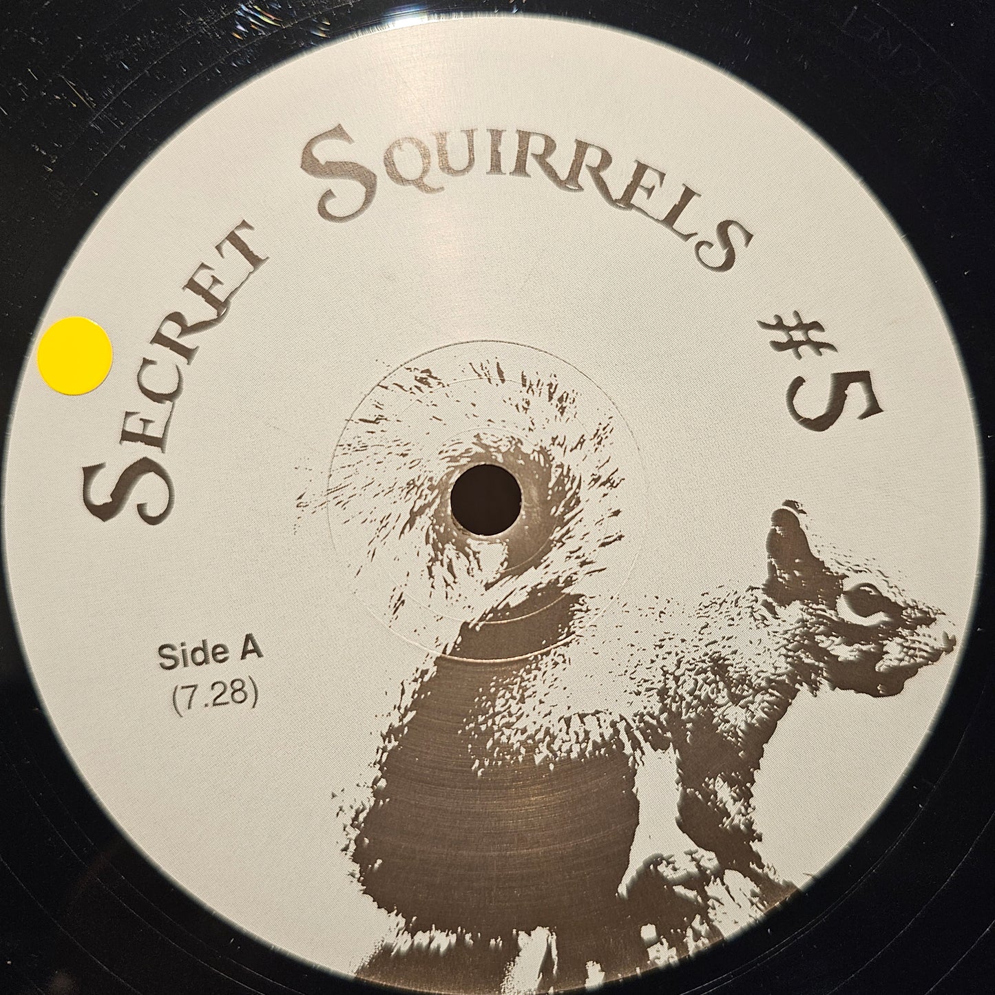 Secret Squirrel – Secret Squirrels #5
