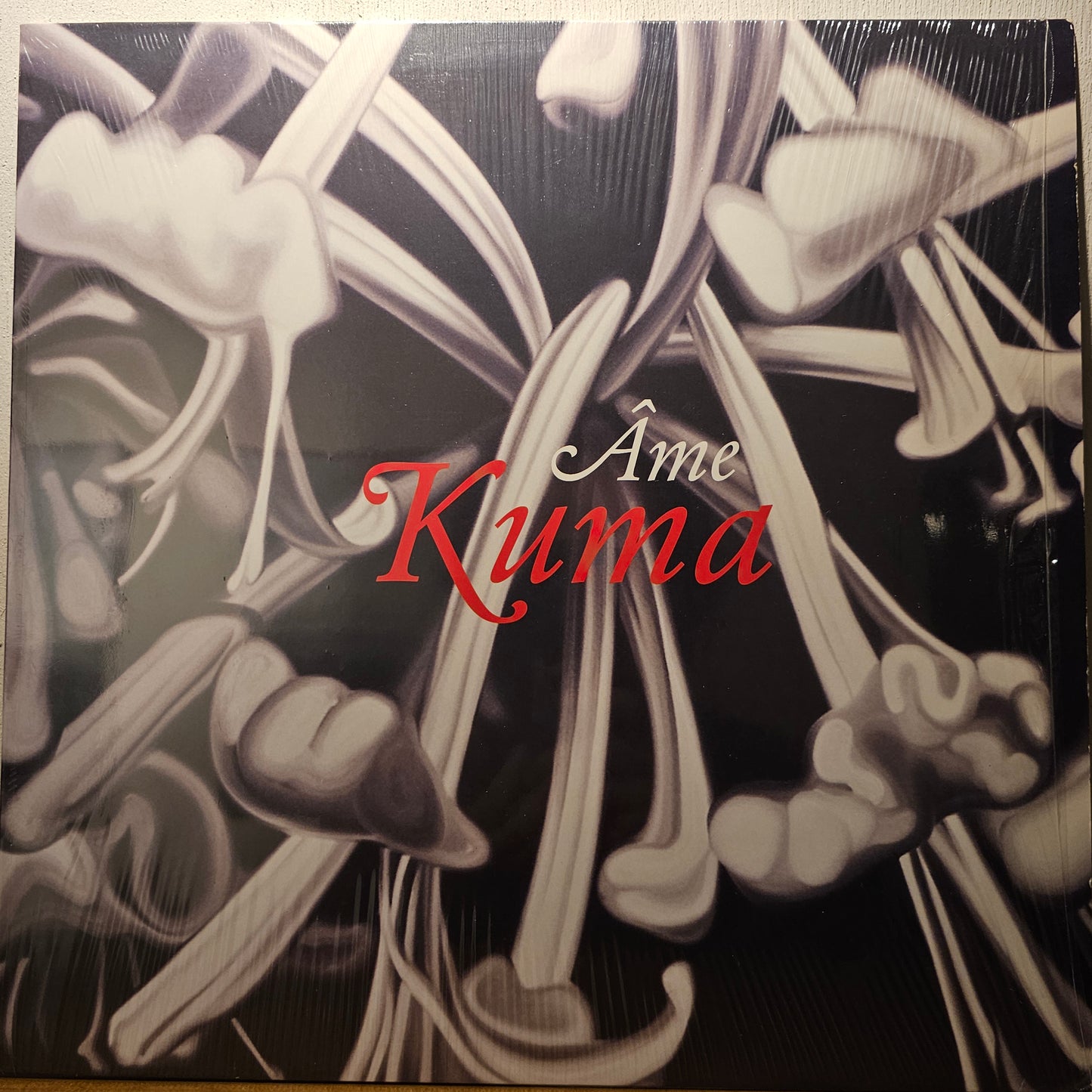 Ame – Kuma / Engoli
